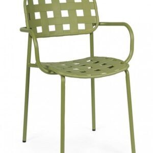 SEDIA C-BR CLOVER TURTLE